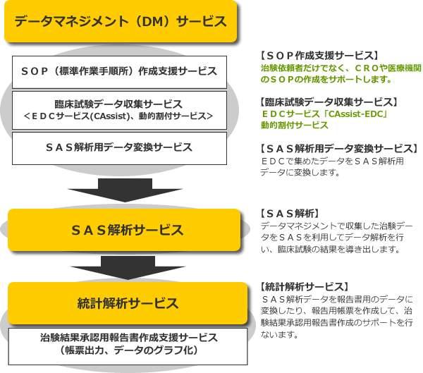 臨床試験データマネジメントサービス概要図
